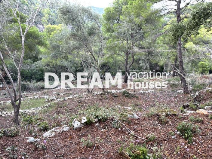 Image No.6-Plot for sale