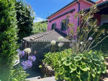 1 - Porto Moniz, House