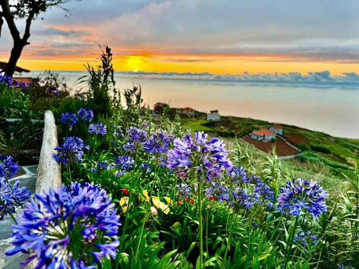 Image No.27-Maison de 2 chambres à vendre à Porto Moniz