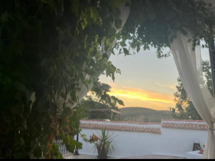 Image No.6-4 Bed Cortijo for sale