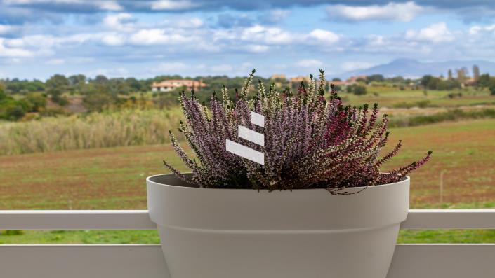 Image No.28-3 Bed Cottage for sale