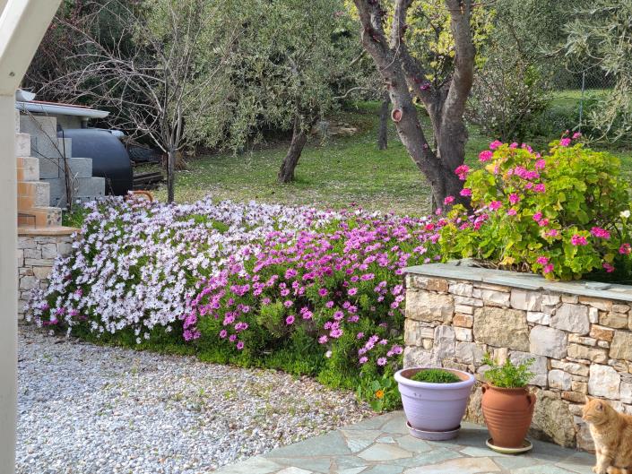 Image No.16-Maison / Villa de 3 chambres à vendre à Alonnisos