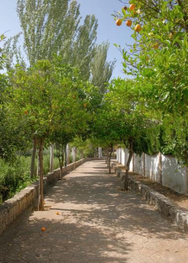 Image No.16-Maison de village de 4 chambres à vendre à Ronda