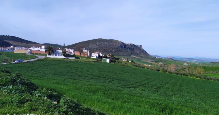 Image No.21-Maison de village de 4 chambres à vendre à Ronda
