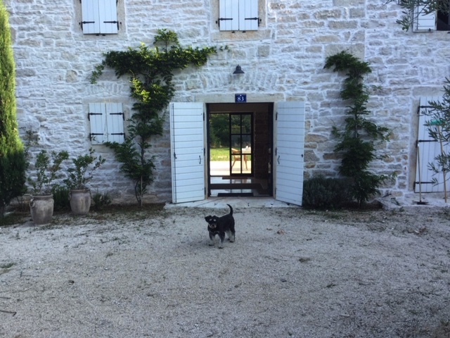 Image No.6-Propriété à vendre à Grožnjan