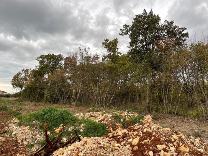 Image No.5-Propriété à vendre à Kaštelir