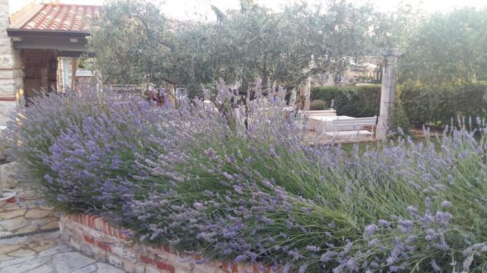 Image No.6-Propriété à vendre à Umag