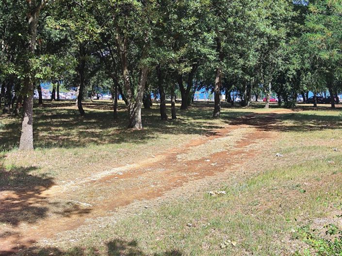 Image No.9-Propriété de 5 chambres à vendre à Porec