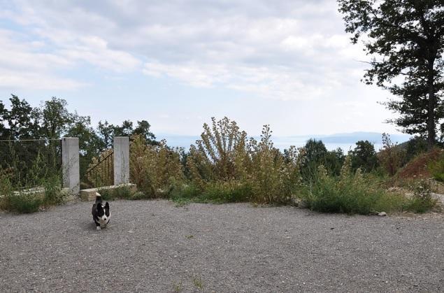 Image No.12-Propriété de 5 chambres à vendre à Croatie