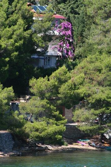 Image No.6-Propriété de 5 chambres à vendre à Vrboska