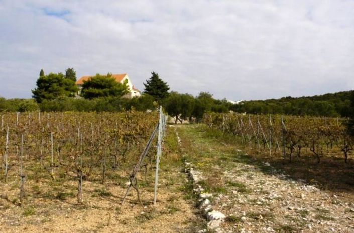 Image No.25-Propriété à vendre à Murter