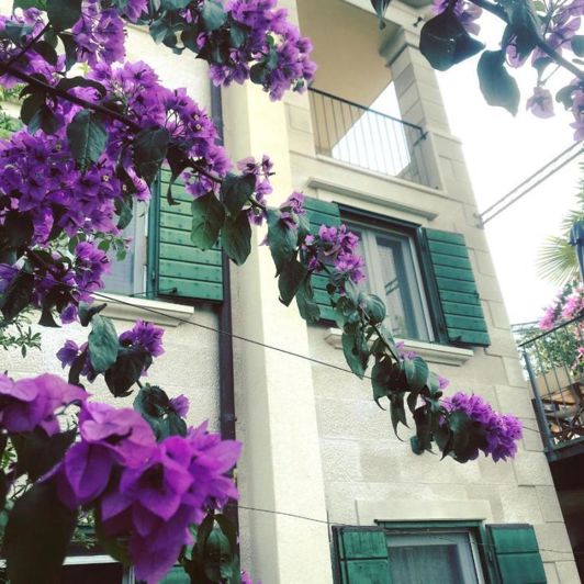 Image No.19-Propriété de 4 chambres à vendre à Mirca