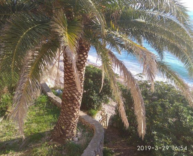 Image No.17-5 Bed Property for sale