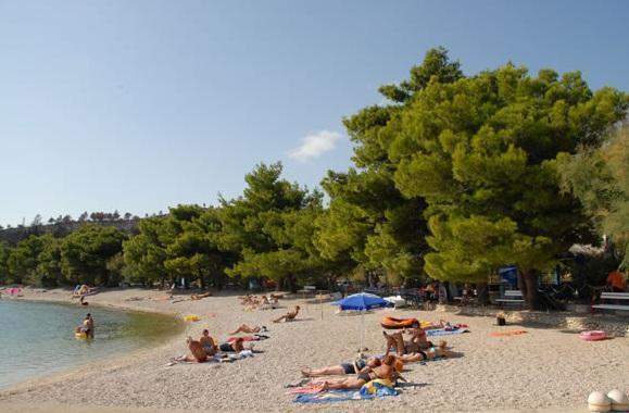 Image No.3-11 Bed Property for sale