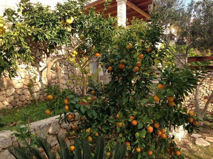 Image No.23-Propriété de 8 chambres à vendre à Bol