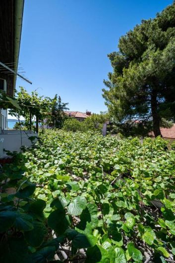 Image No.21-Propriété de 14 chambres à vendre à Sukošan