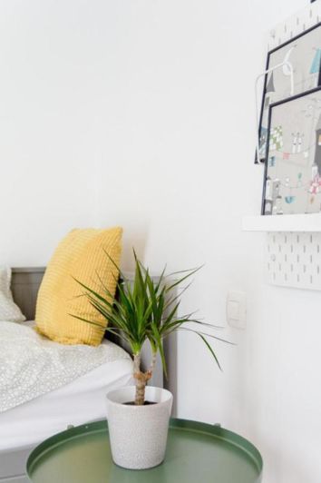 Image No.18-Propriété de 4 chambres à vendre à Brac