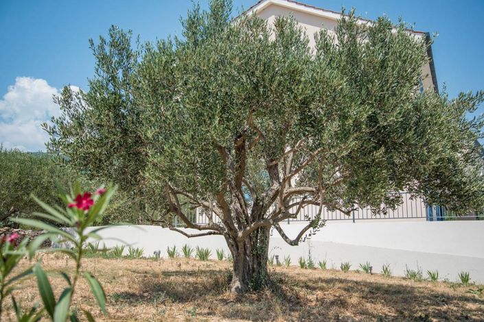 Image No.23-Propriété de 4 chambres à vendre à Split