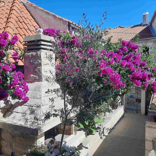 Image No.9-Propriété de 8 chambres à vendre à Supetar