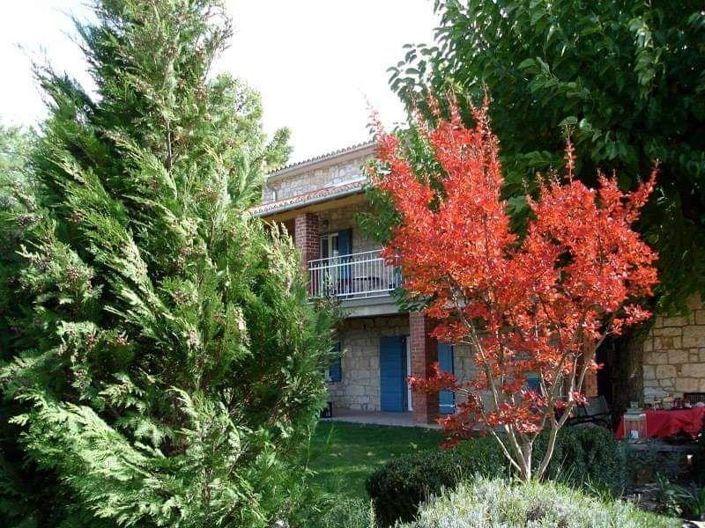 Image No.3-Propriété de 9 chambres à vendre à Porec