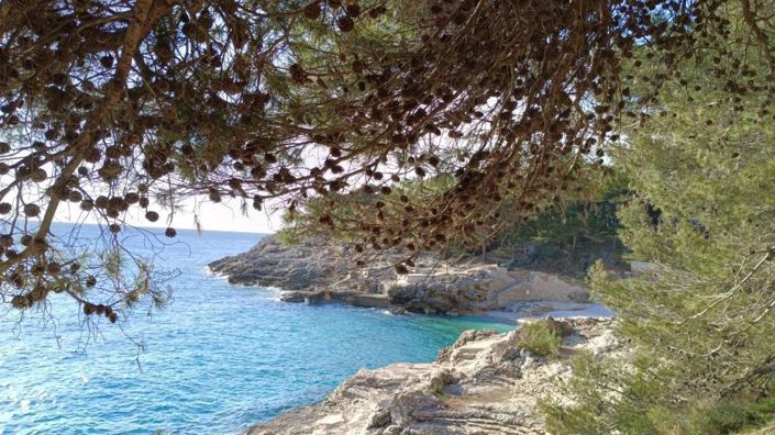 Image No.19-5 Bed Property for sale