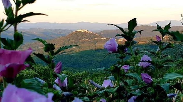 Image No.2-Propriété de 10 chambres à vendre à Vižinada