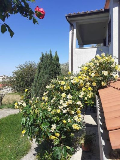 Image No.3-Propriété de 10 chambres à vendre à Vižinada