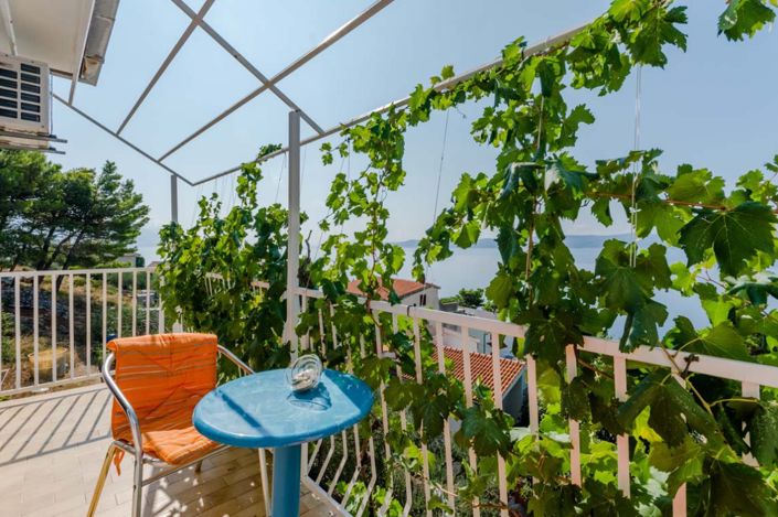 Image No.15-Propriété de 12 chambres à vendre à Marušici