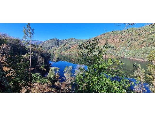 Image No.4-Maison de 9 chambres à vendre à Porto
