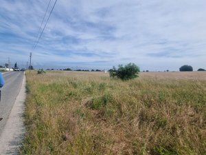 Image No.6-Terre à vendre à Palmela