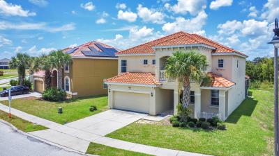 002_401_miro_dr_trevisuality_-2_418