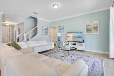 003_401_miro_dr_trevisuality_-3_942