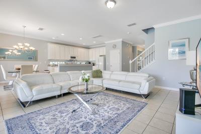 004_401_miro_dr_trevisuality_-4_869