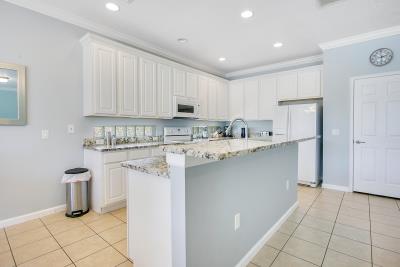 007_401_miro_dr_trevisuality_-7_618