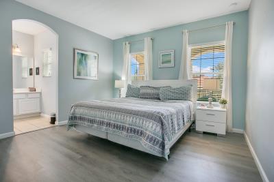 013_401_miro_dr_trevisuality_-13_786