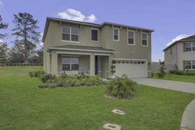 003_trevisuality_1541_tali_lane_mount_dora_fl-3_654