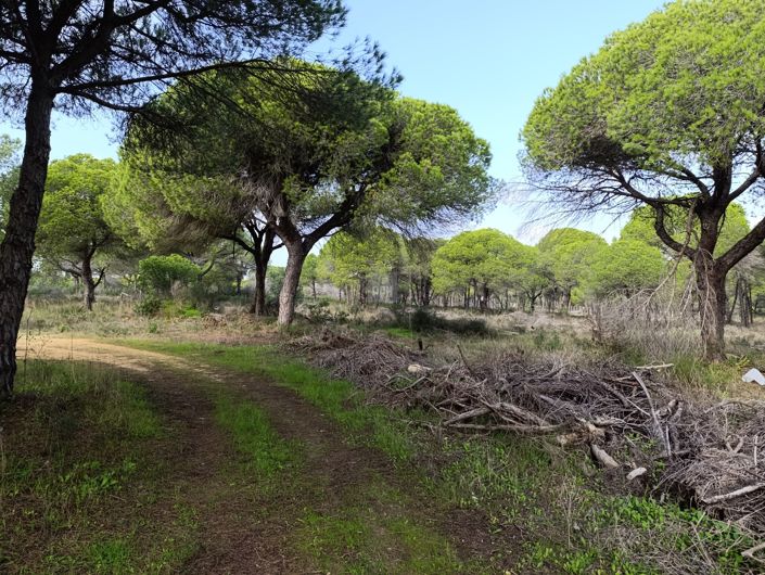 Image No.14-Land for sale