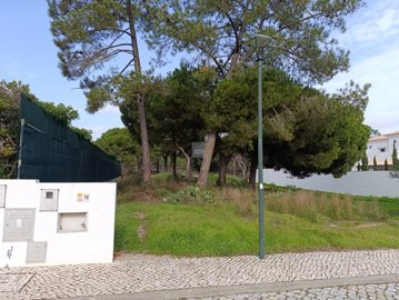 2344-352524-f99b9e343b07b1ea73851c331dc41644a