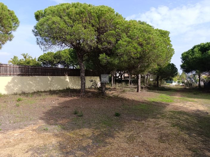 Image No.11-Terre à vendre à Varandas do Lago