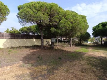 2344-352525-f99b9e343b07b1ea73851c331dc41644a