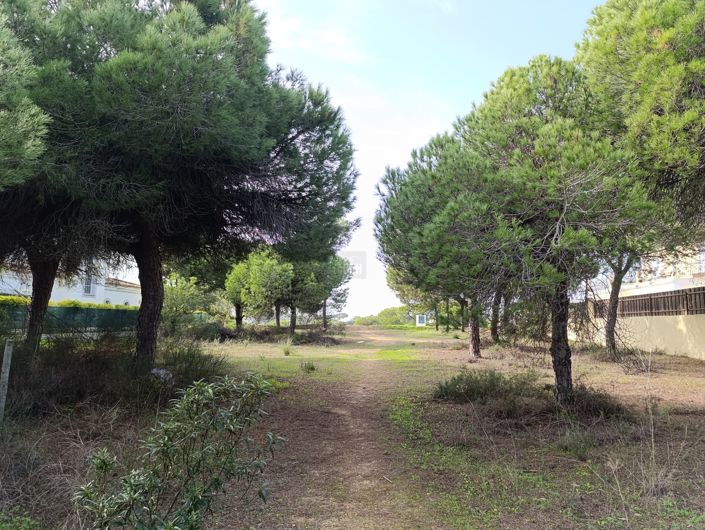 Image No.5-Terre à vendre à Varandas do Lago