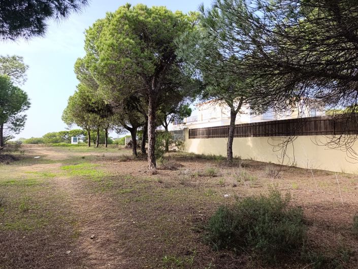 Image No.6-Terre à vendre à Varandas do Lago