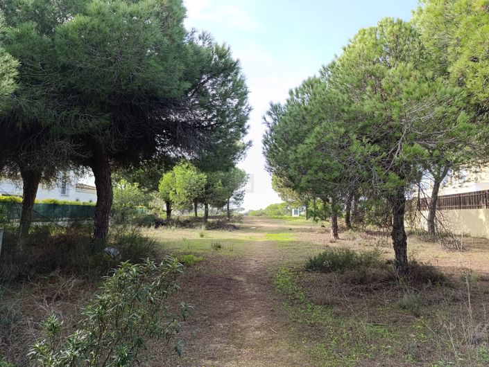 Image No.9-Terre à vendre à Varandas do Lago