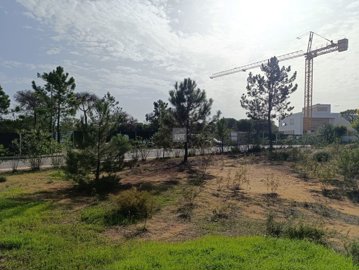 2344-352527-f99b9e343b07b1ea73851c331dc41644a