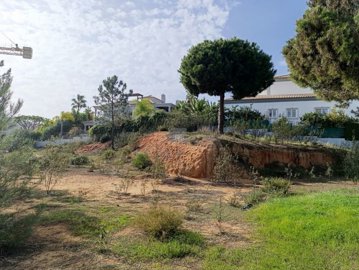 2344-352527-f99b9e343b07b1ea73851c331dc41644a