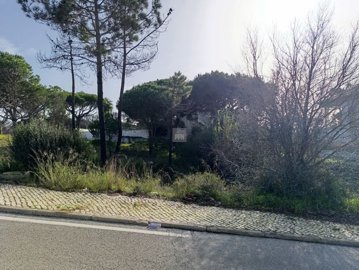 2344-352528-f99b9e343b07b1ea73851c331dc41644a