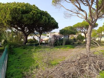 2344-352528-f99b9e343b07b1ea73851c331dc41644a