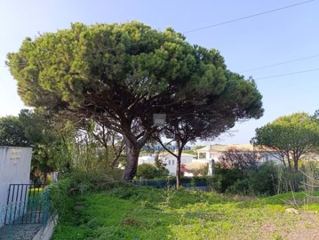 2344-352528-f99b9e343b07b1ea73851c331dc41644a