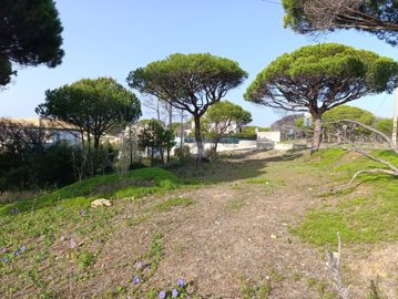 2344-352528-f99b9e343b07b1ea73851c331dc41644a