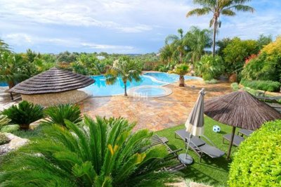 2344-357236-f99b9e343b07b1ea73851c331dc41644a